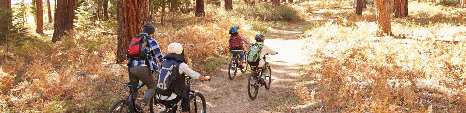 A family made up of two parents and two children biking through a wooded trail in the forest.