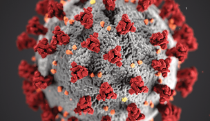 Image of coronavirus