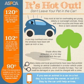 ASPCA Info Graphic 